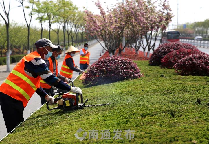 閔行區(qū)高速綠化工程報價單