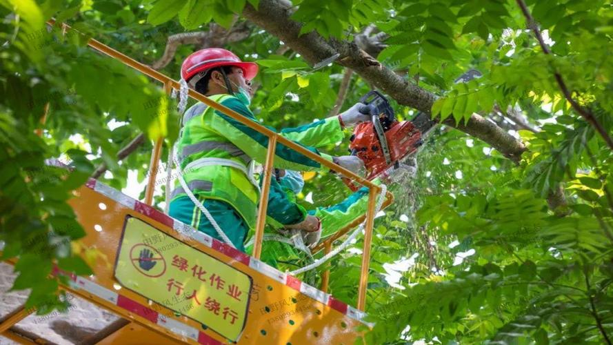 辦公樓頂園林景觀設(shè)計方案